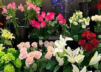 Saint Jerome Fleuristes Fleuriste Majorie