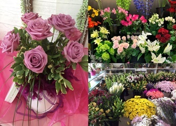 Saint Jerome Fleuristes Fleuriste Majorie