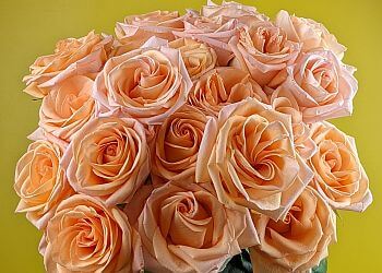 Montreal florist Fleuriste Pourquoi Pas Fleurs