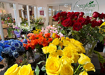 Fleuriste Terrafolia Flowers - Dollard des Ormeaux, QC Fleuristes - Design Image
