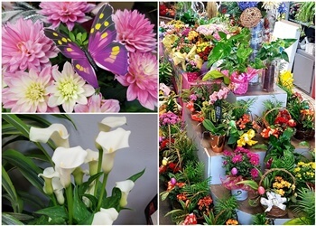 Terrebonne Fleuristes Fleuriste des Seigneurs