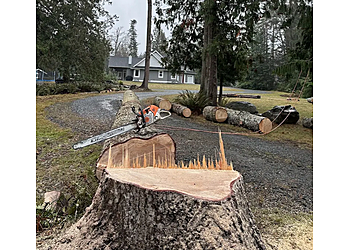 Nanaimo tree service Flex Tree Service