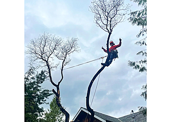 Nanaimo tree service Flex Tree Service