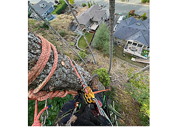Nanaimo tree service Flex Tree Service 