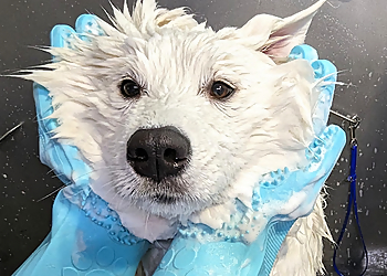 Delta pet grooming Fluffy Empire