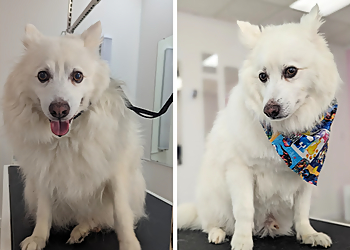 Delta pet grooming Fluffy Empire