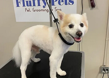Ajax Salons de Toilettage Pour Animaux De Compagnie Fluffy Pets