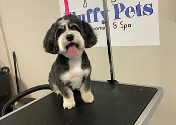 Ajax Salons de Toilettage Pour Animaux De Compagnie Fluffy Pets