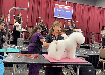 Richmond Hill pet grooming Fluffy' Spa