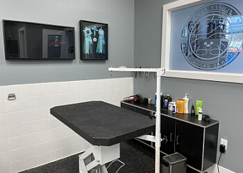 Richmond Hill pet grooming Fluffy' Spa