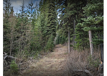 Prince George hiking trail Forests for the World