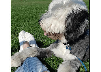 Belleville dog trainer Four Paws Forward Dog Training