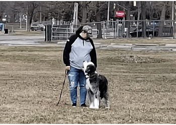 Belleville dog trainer Four Paws Forward Dog Training