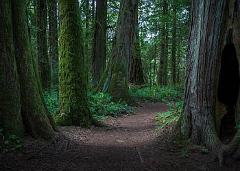 Saanich hiking trail Francis/King Regional Park