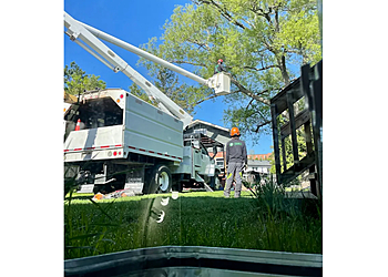 Sudbury Services d'arboriculteur Frank's Family Tree Service