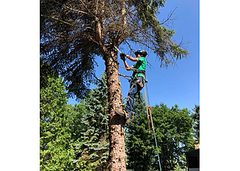 Sudbury Services d'arboriculteur Frank's Family Tree Service