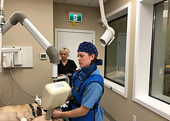 Fraser Valley Animal Hospital - Abbotsford, BC Veterinary Clinics - Treatment Image