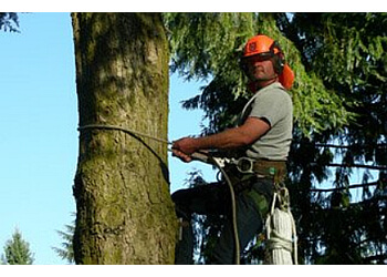Langley tree service Fraser Valley Tree Service