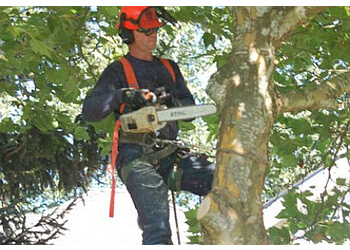 Langley tree service Fraser Valley Tree Service
