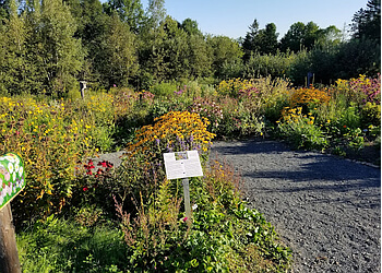 Fredericton Sentiers De Randonnée Fredericton Botanic Garden