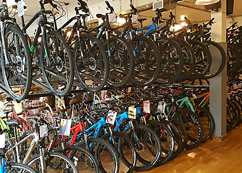 Hamilton bicycle shop Freewheel Cycle