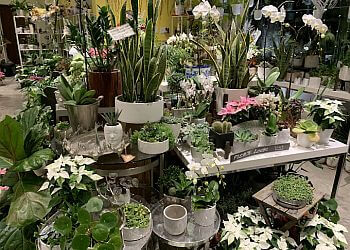 North Vancouver florist Fresh Cut Flowers