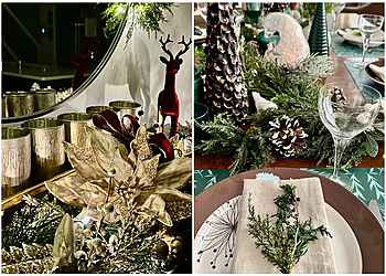 St Albert Designers et Décorateurs D'intérieur Fresh Look Design