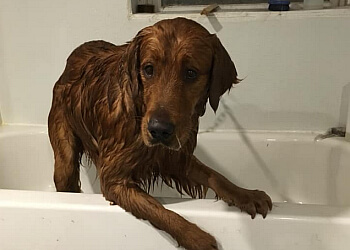 Halifax Salons de Toilettage Pour Animaux De Compagnie Fricker's Furry Friends