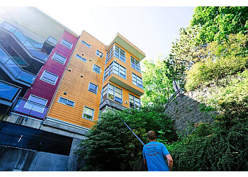 Victoria window cleaner Friendly Giant