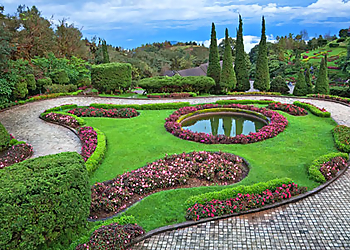 Port Coquitlam lawn care service Frogs Group