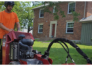 Caledon tree service From The Ground Up