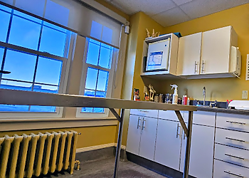 Saint John veterinary clinic Fundy Animal Hospital Ltd