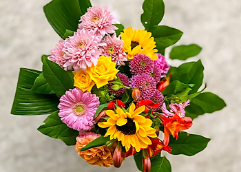 Funky Petals Funky Petals - Sherwood Park, AB Florists - Design Image
