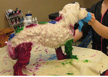 Kitchener Salons de Toilettage Pour Animaux De Compagnie Fur-Ever Loved Pet Salon