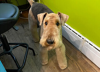 Ottawa pet grooming Furry Friends Spa & Daycare