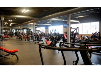 3 Best Gyms in Brampton, ON  Expert Recommendations