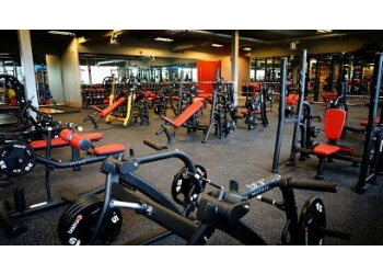 3 Best Gyms in Brampton, ON  Expert Recommendations