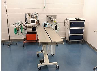 Edmonton veterinary clinic Glenora Family Pet Clinic