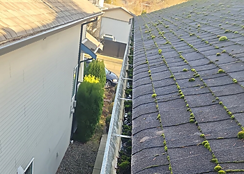 GSM Roof Cleaning Ltd - Maple Ridge, BC Gutter Cleaners - Service Image