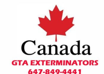 Pickering pest control GTA Exterminators