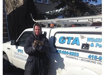 3 Best Pest Control in Richmond Hill, ON - ThreeBestRated