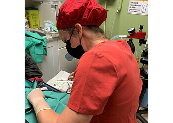 Guelph Cliniques Vétérinaires Guelph Animal Hospital