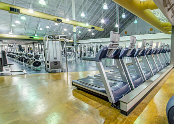 Edmonton gym GYMVMT Edmonton