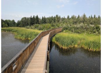 Red Deer hiking trail Gaetz Lakes Migratory Bird Sanctuary