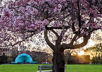 Gage Park - Hamilton, ON Public Parks - Nature Image