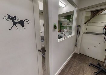 Montreal pet grooming Gare Gamelle