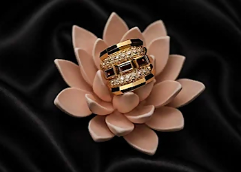 Garnet Jewellery - Port Coquitlam, BC Jewellery - Ring Display Image