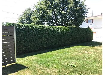 Gazon Plus - Trois Rivieres, QC Lawn Care Services