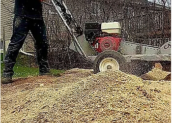 Sault Ste Marie tree service Gee’s Tree Removal Service