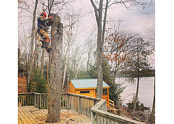 Sault Ste Marie tree service Gee’s Tree Removal Service